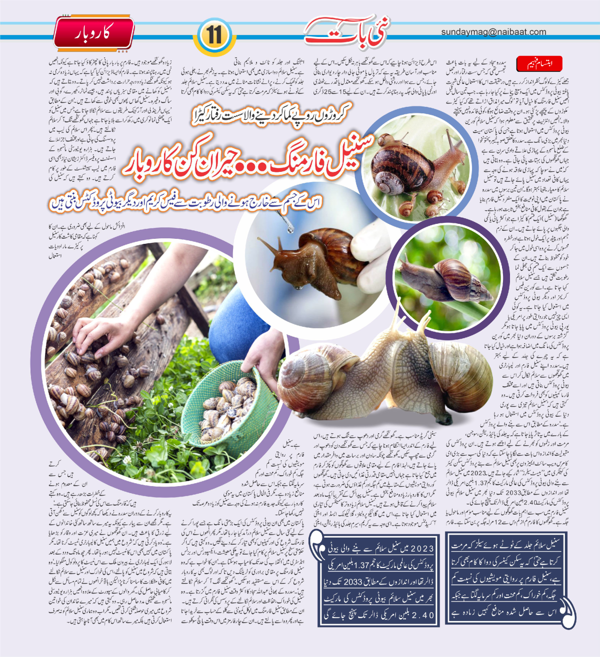 epaper_image